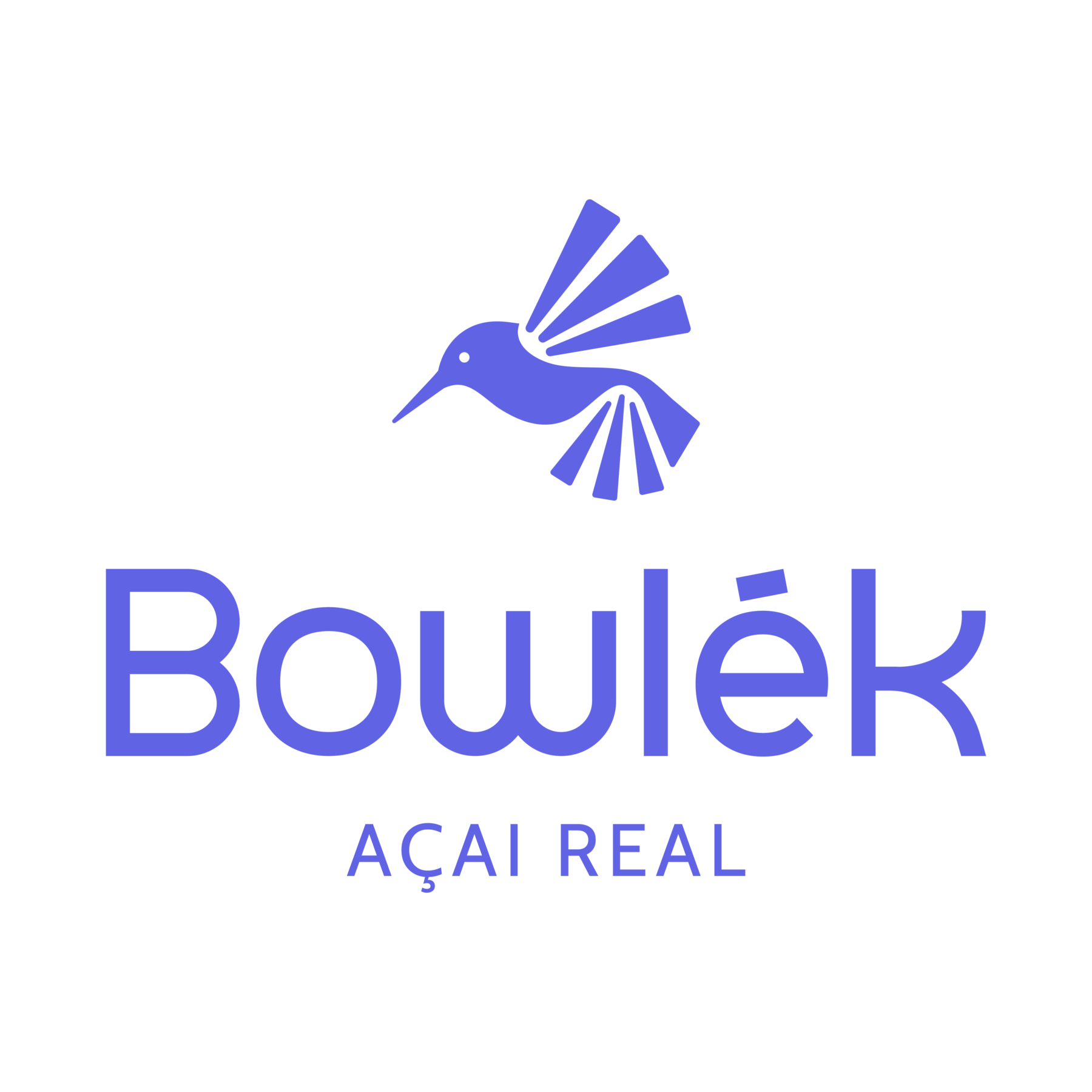 Bowlek-15